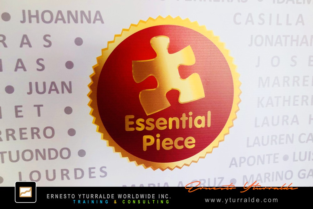 Team Building Cali Colombia | Talleres de Cuerdas Bajas para fortalecer equipos empresariales
